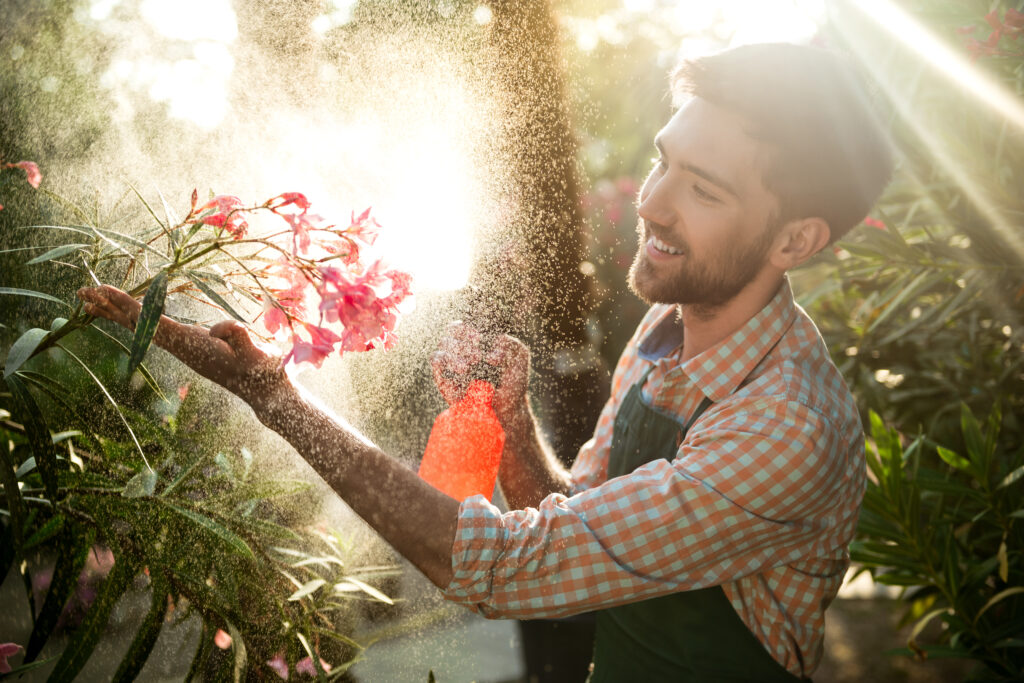 young handsome gardener smiling, watering, taking care of flowers. flare sunlight on background.