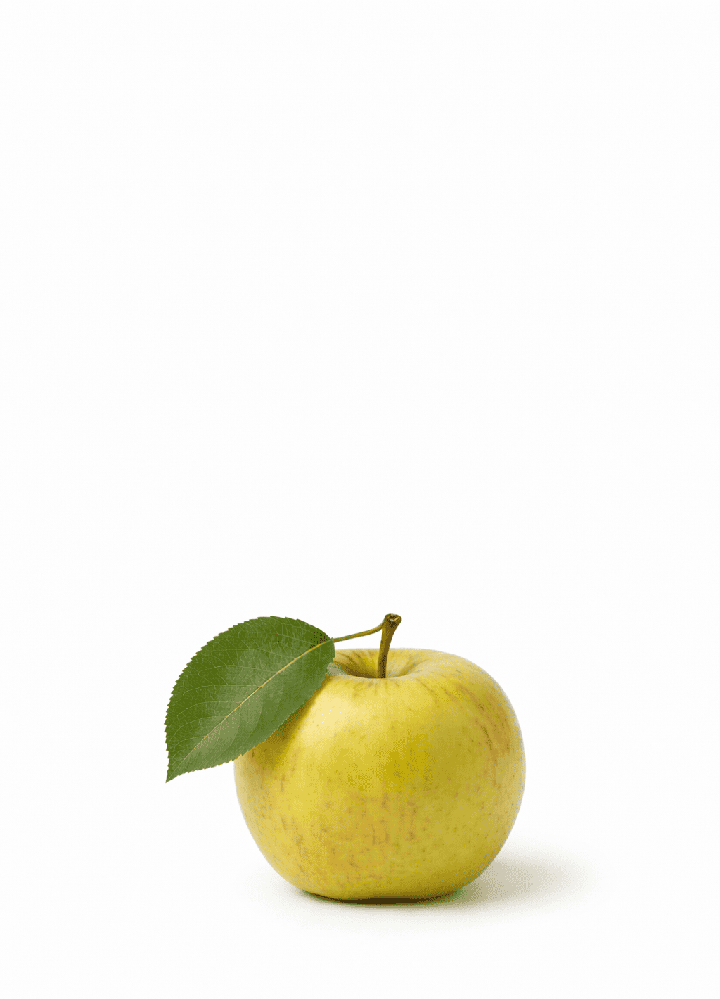 Lemon Fruits