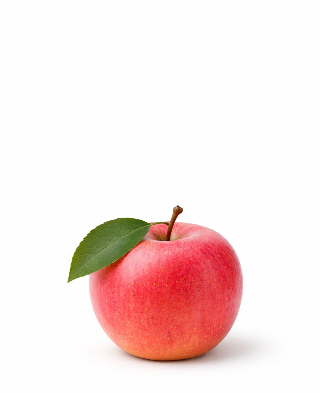 Lemon Fruits