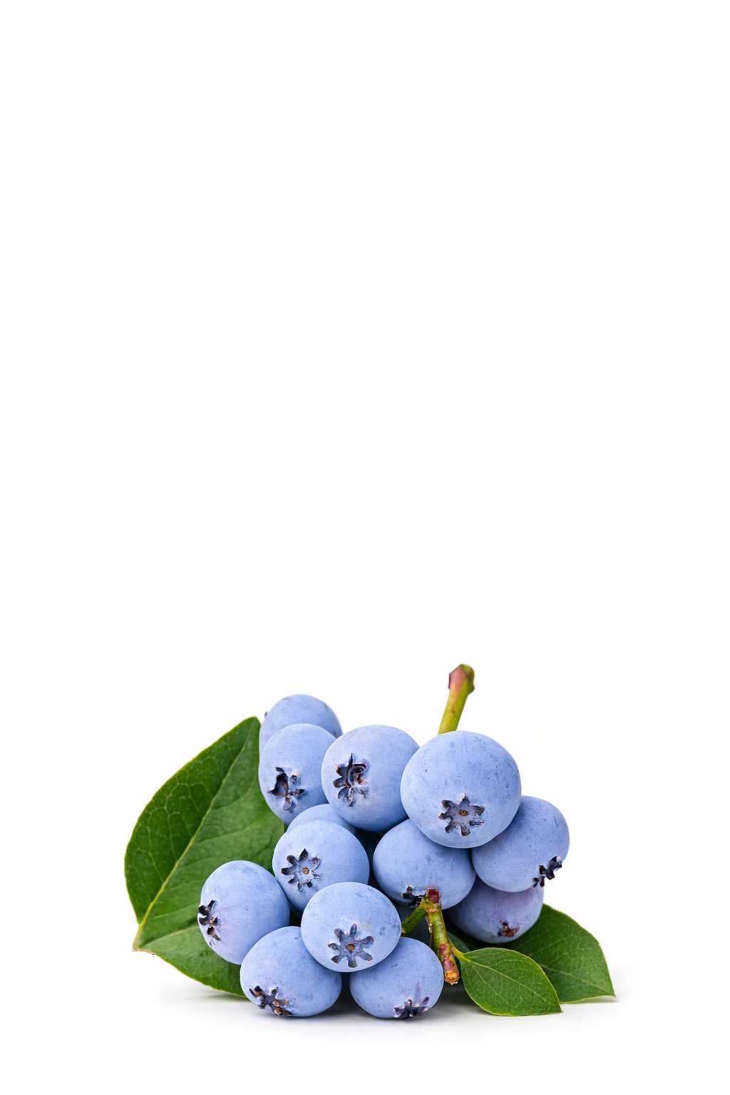 Lemon Fruits