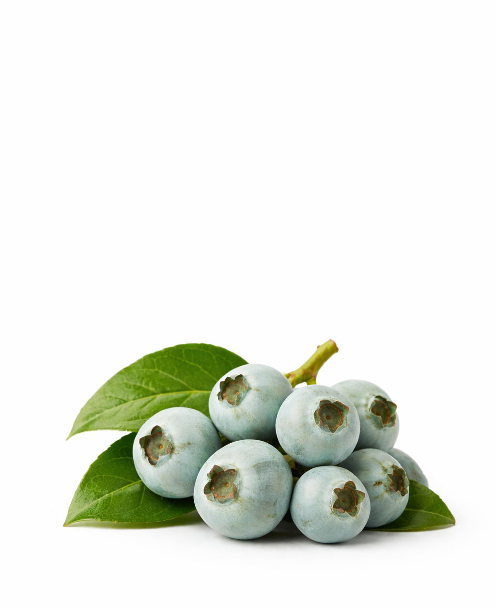 Lemon Fruits