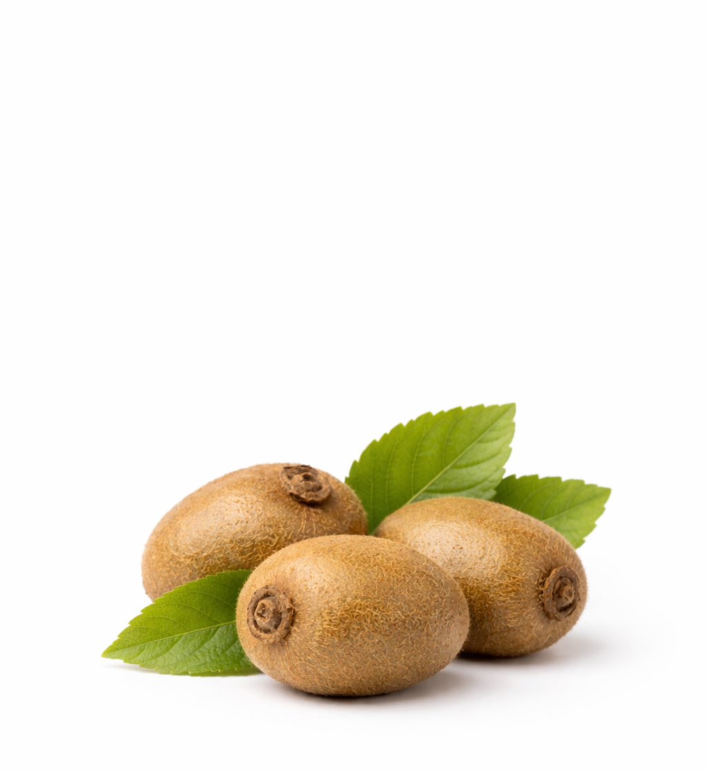 Lemon Fruits