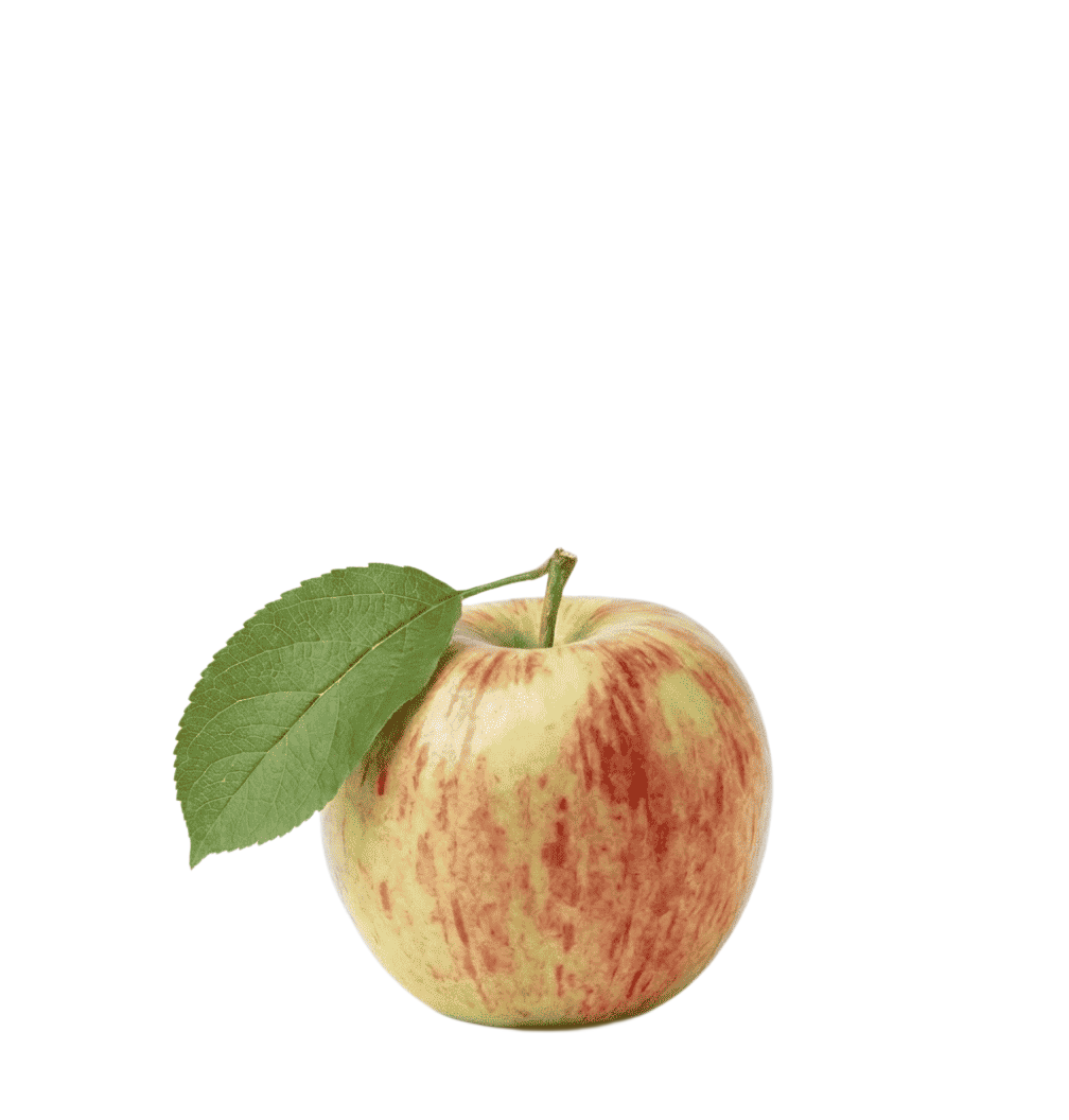 Lemon Fruits