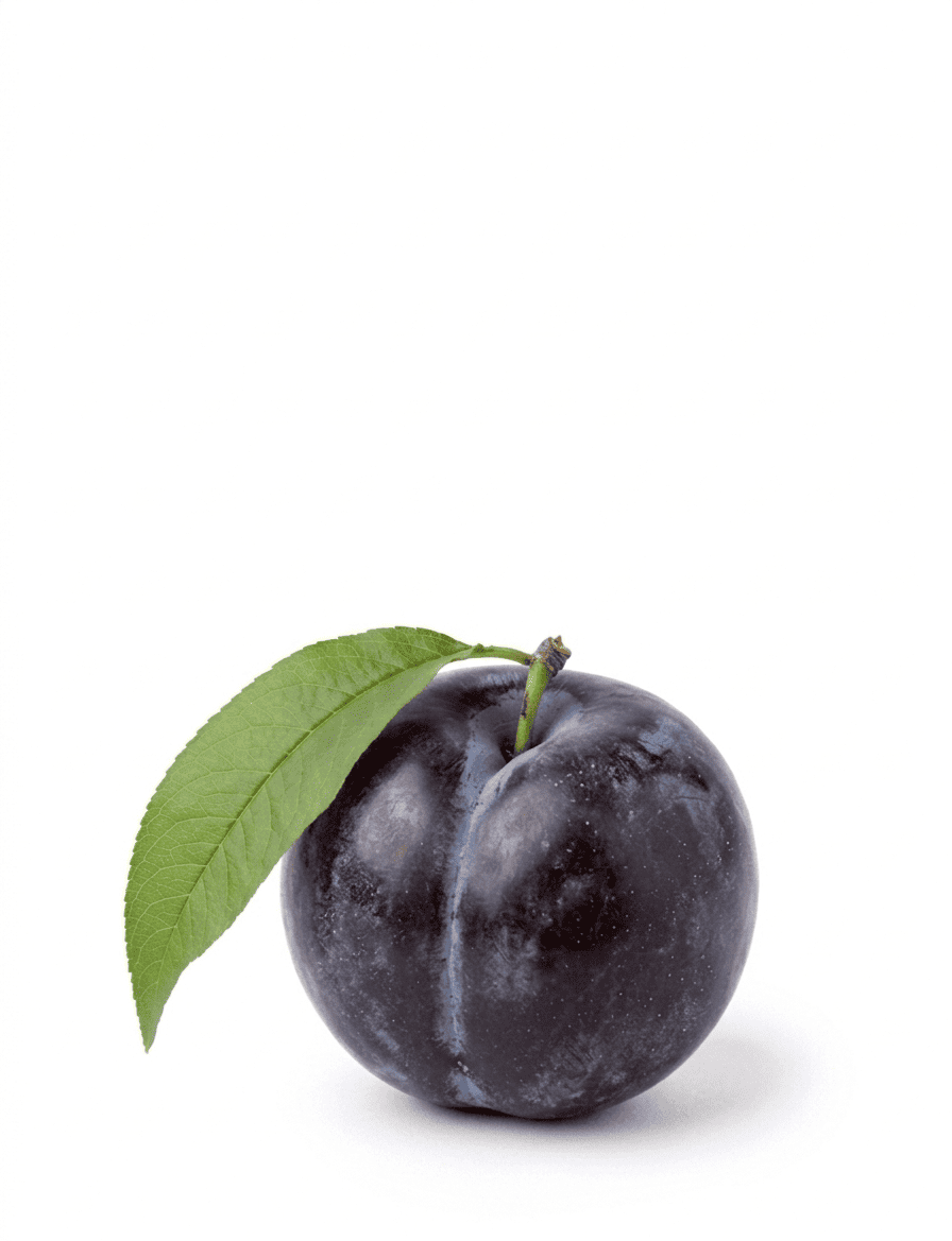 Lemon Fruits