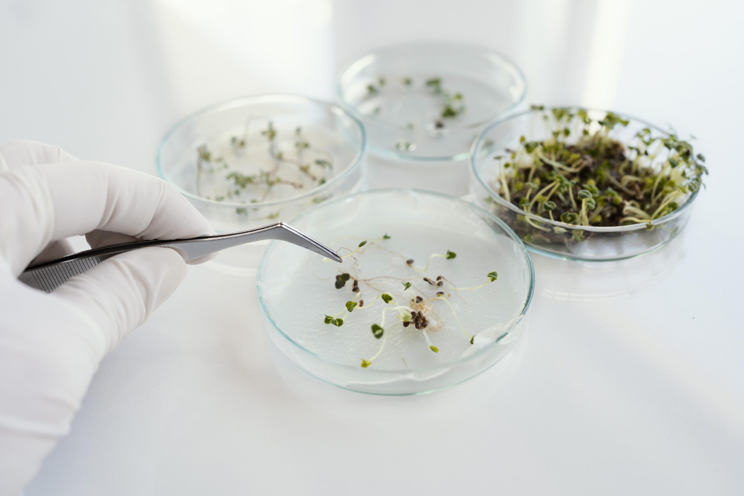 close up hand holding tweezers