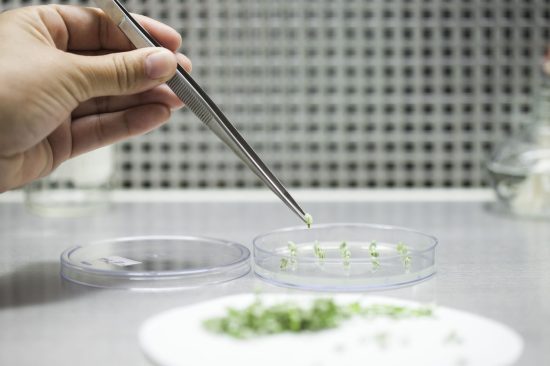 production line pharmaceutical industry manufacturing drugs medications pharmaceuticals